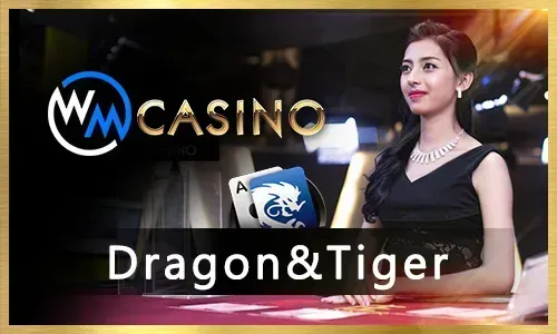 Live Casino Stream